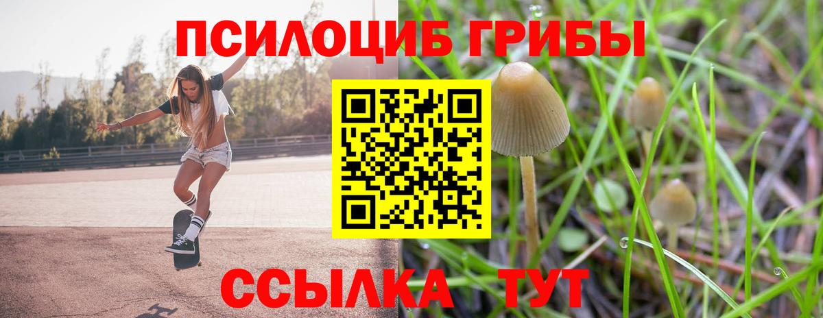 Лыткарино  Галлюциногенные грибы прущие грибы  Вход с VPN 